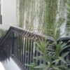 Pintu Pagar Railing Besi TEMPA (6) Pintu Pagar Railing Besi TEMPA (1)